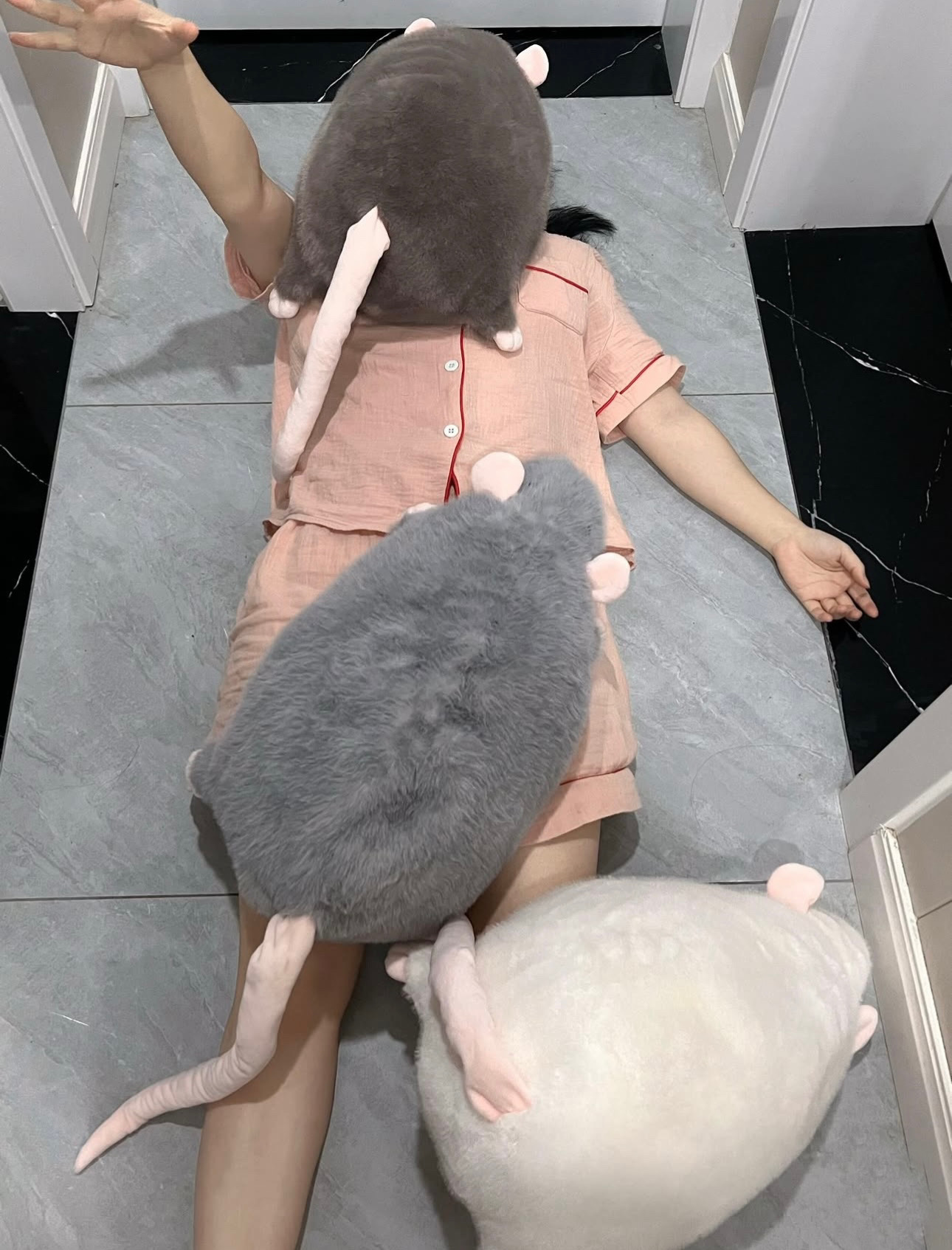 Chuột khổng lồ