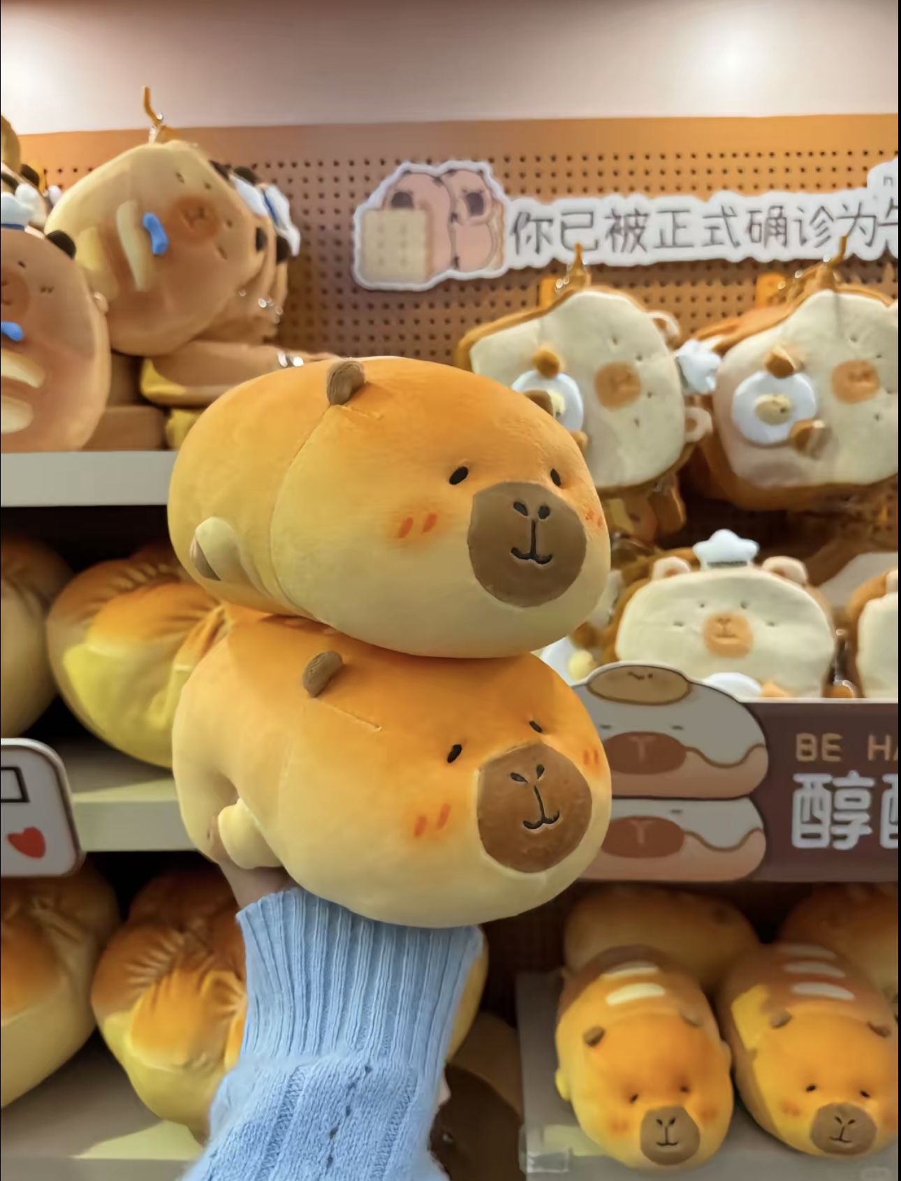 Capybara bánh mì nướng