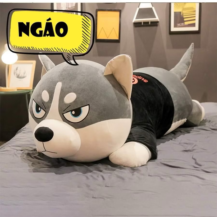 Husky ngáo áo đen nằm