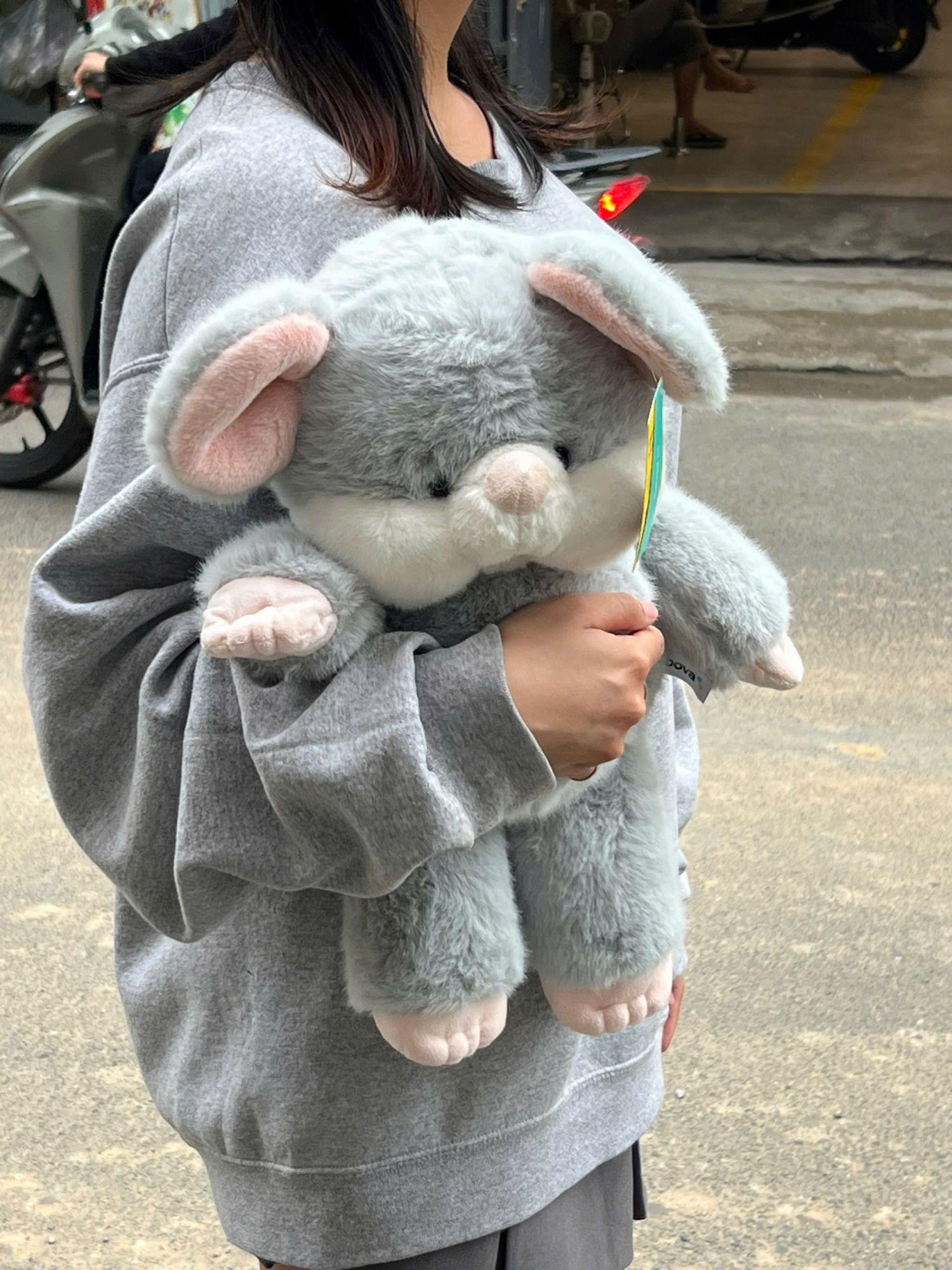 Chuột chạy Bobova